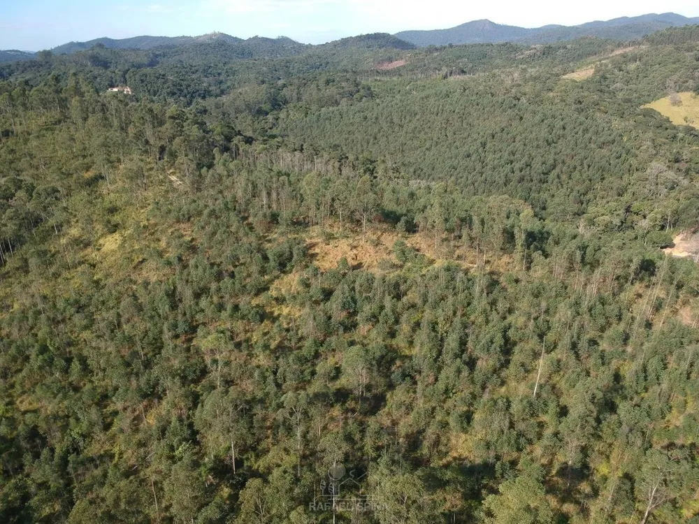 Terreno - Foto 2