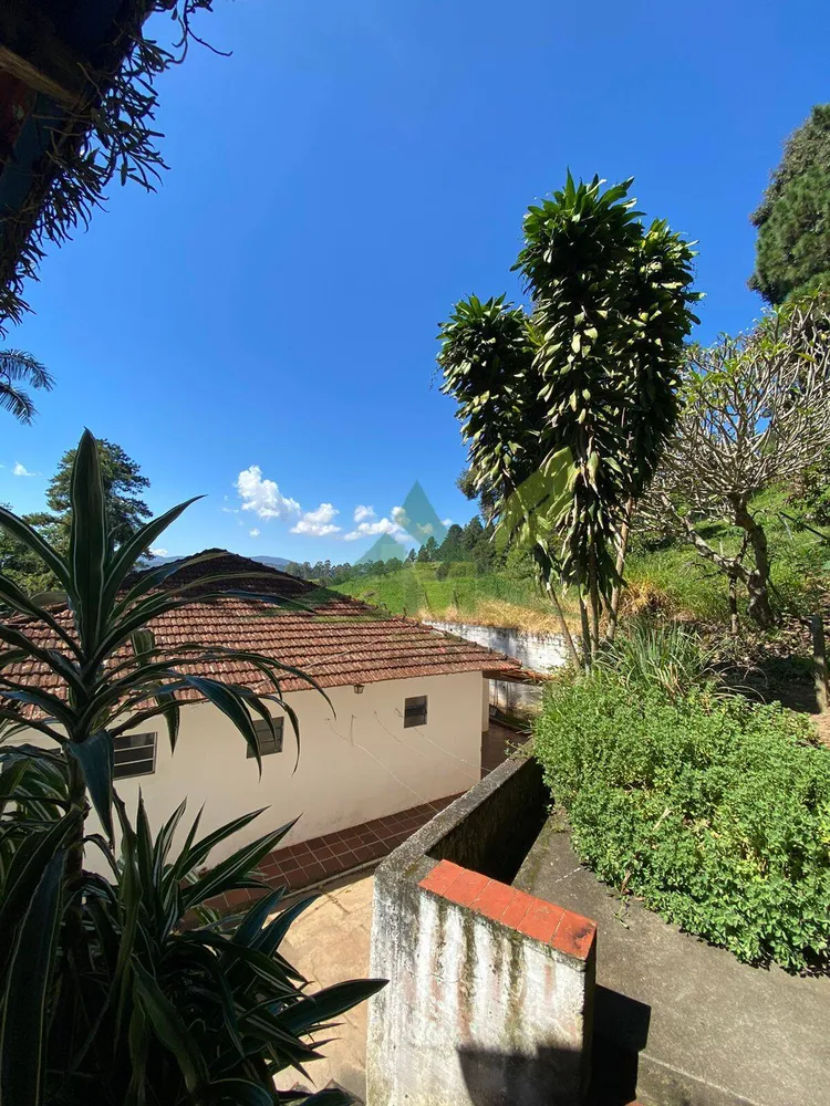Chácara, 6 quartos, 2 hectares - Foto 3