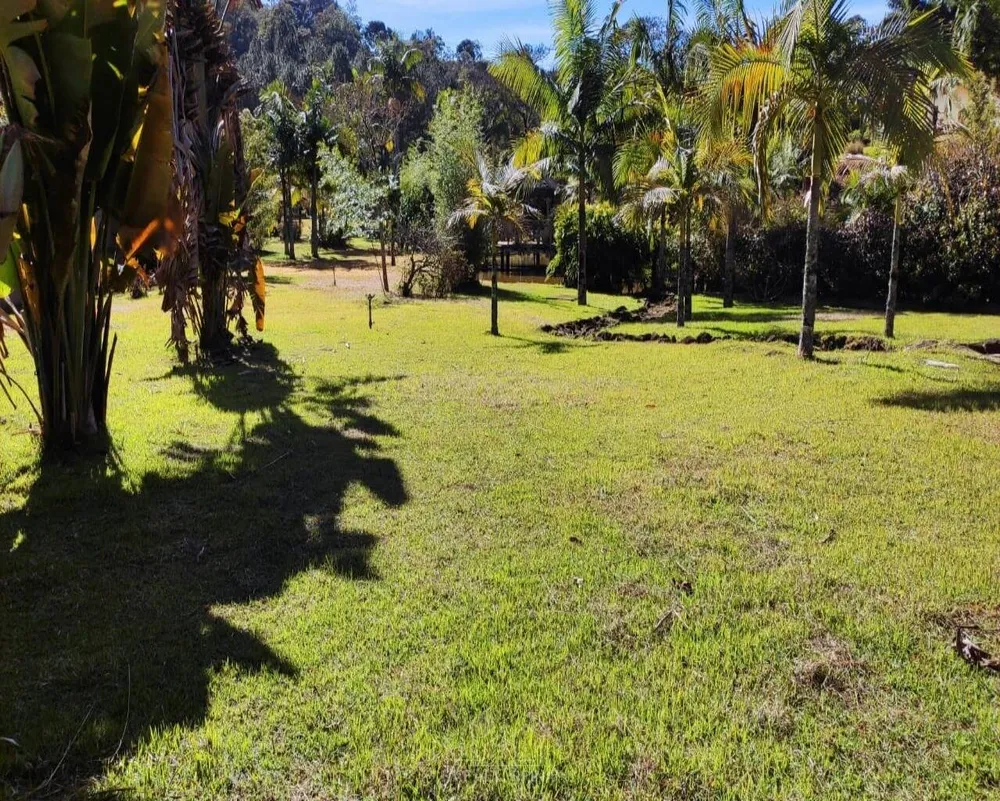 Terreno - Foto 1