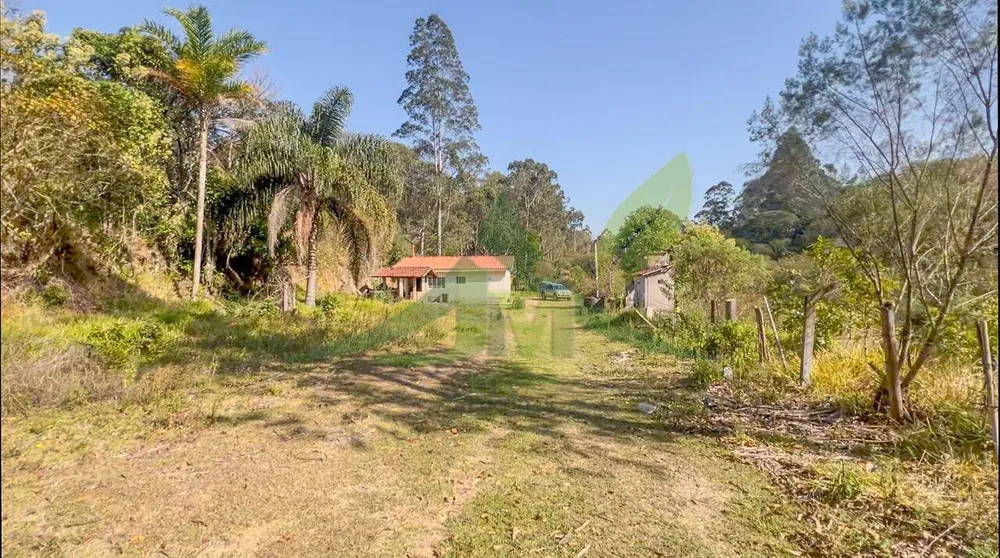 Sítio, 2 quartos, 36 hectares - Foto 6