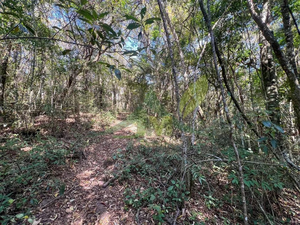 Sítio, 2 quartos, 36 hectares - Foto 11