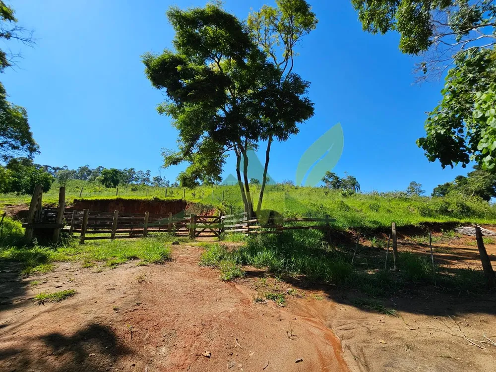 Sítio, 2 quartos, 53 hectares - Foto 7