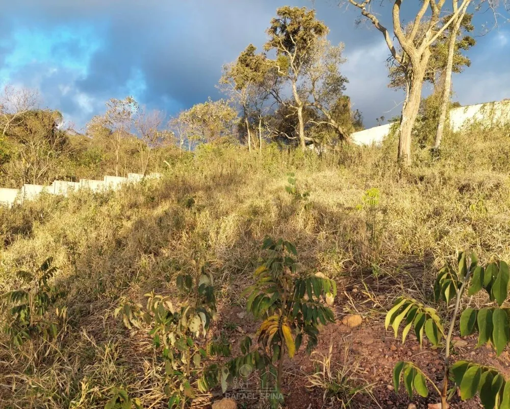 Terreno - Foto 7