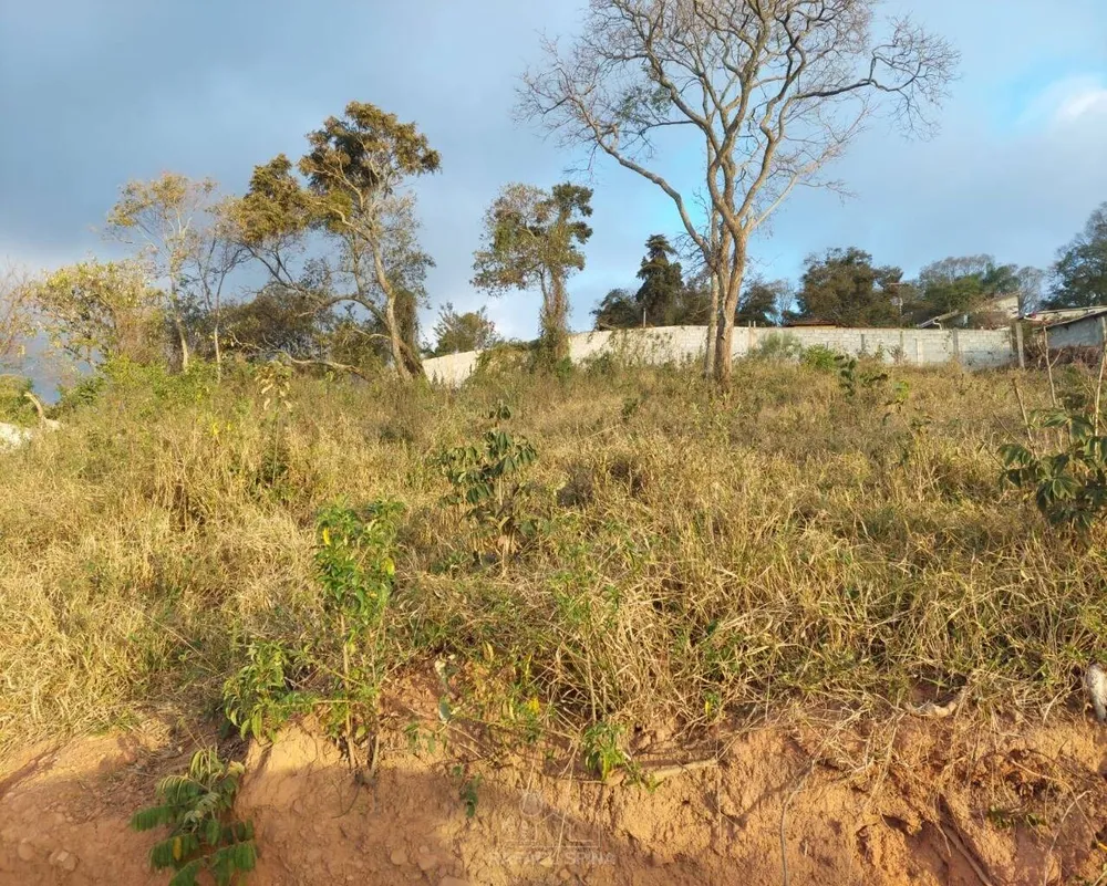 Terreno - Foto 5