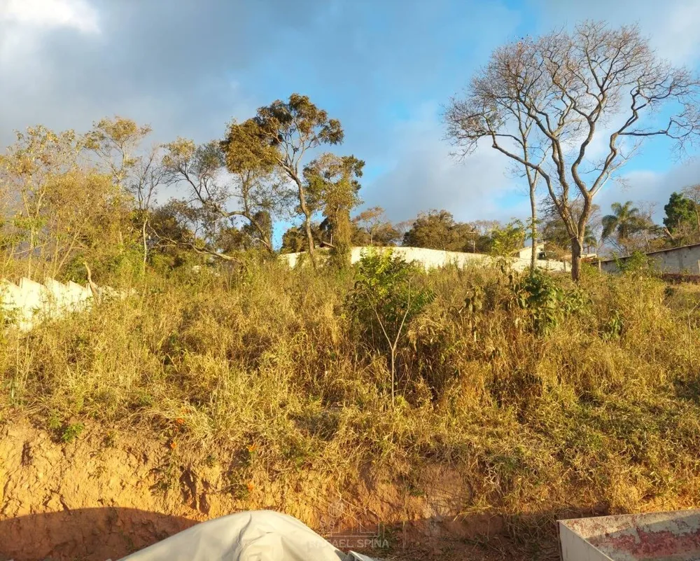 Terreno - Foto 6
