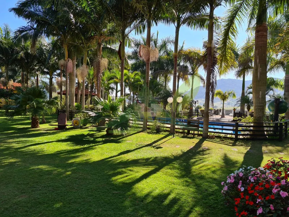 Sítio, 5 quartos, 4 hectares - Foto 8