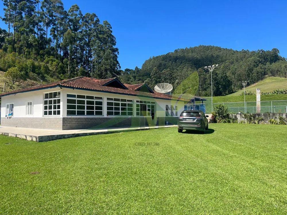 Fazenda, 196 hectares - Foto 3