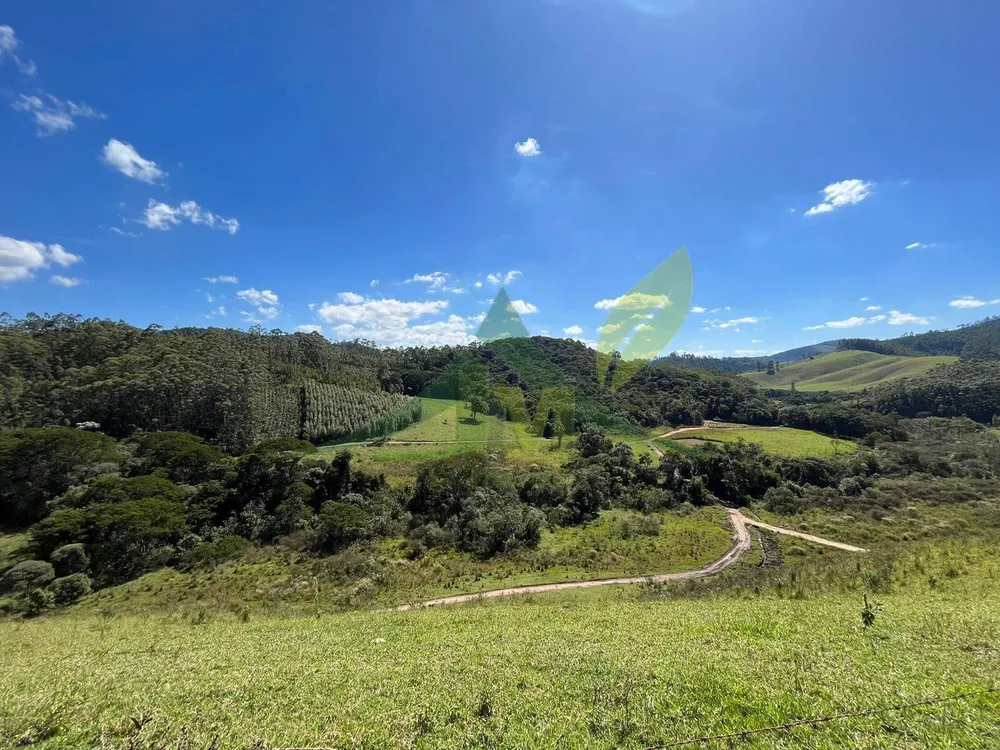 Fazenda, 196 hectares - Foto 6