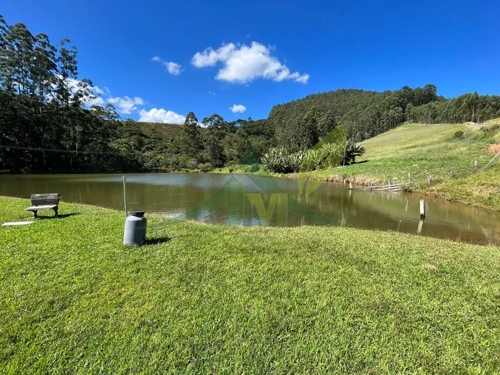 Fazenda, 196 hectares - Foto 11