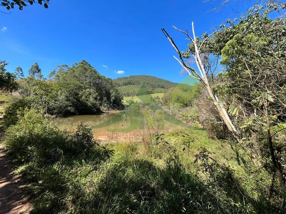 Fazenda, 196 hectares - Foto 9