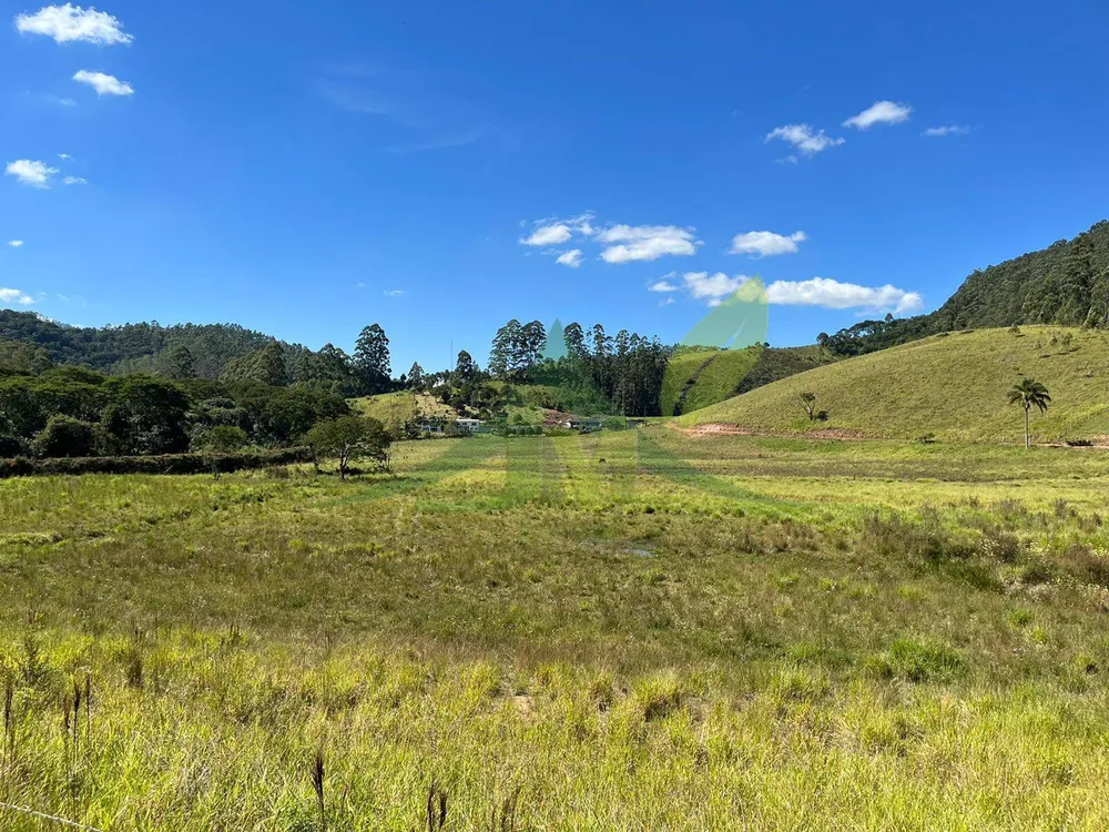 Fazenda, 196 hectares - Foto 4