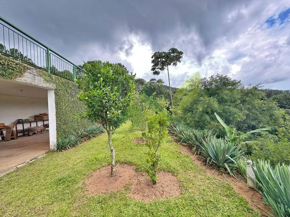 Sítio, 10 hectares - Foto 4