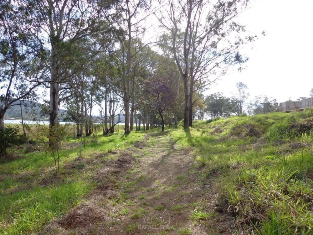 Chácara, 3 quartos, 1000 m² - Foto 3