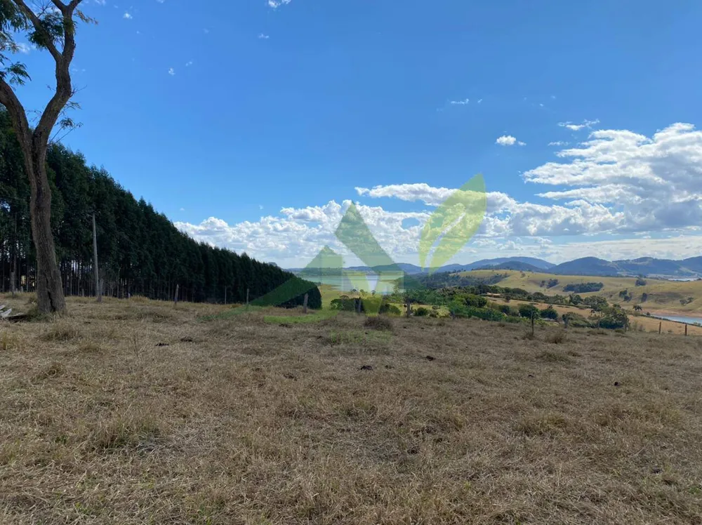 Terreno, 2 hectares - Foto 2