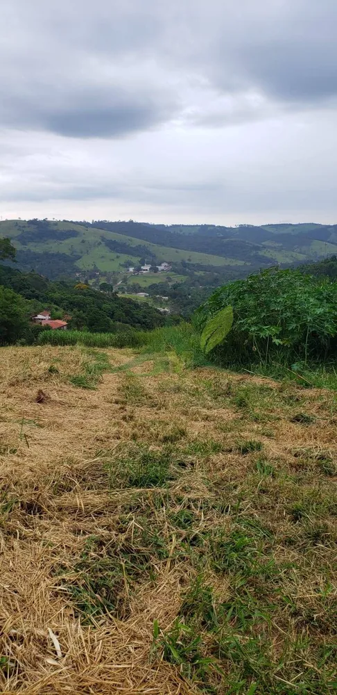 Terreno, 2000 m² - Foto 5