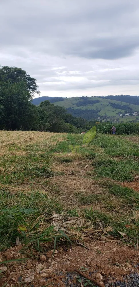 Terreno, 2000 m² - Foto 6
