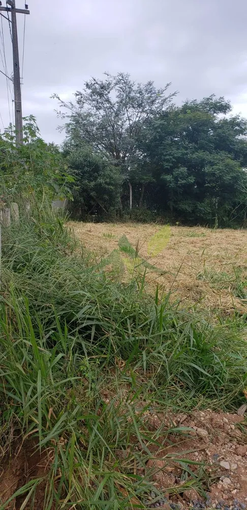 Terreno, 2000 m² - Foto 7