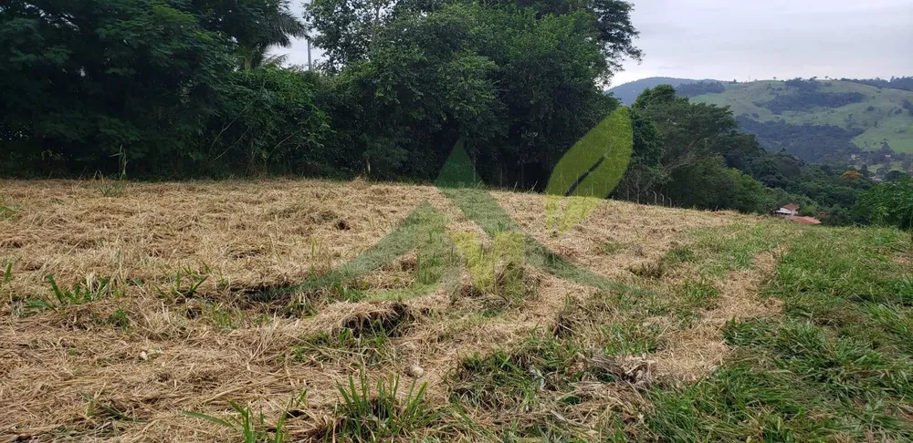 Terreno, 2000 m² - Foto 2