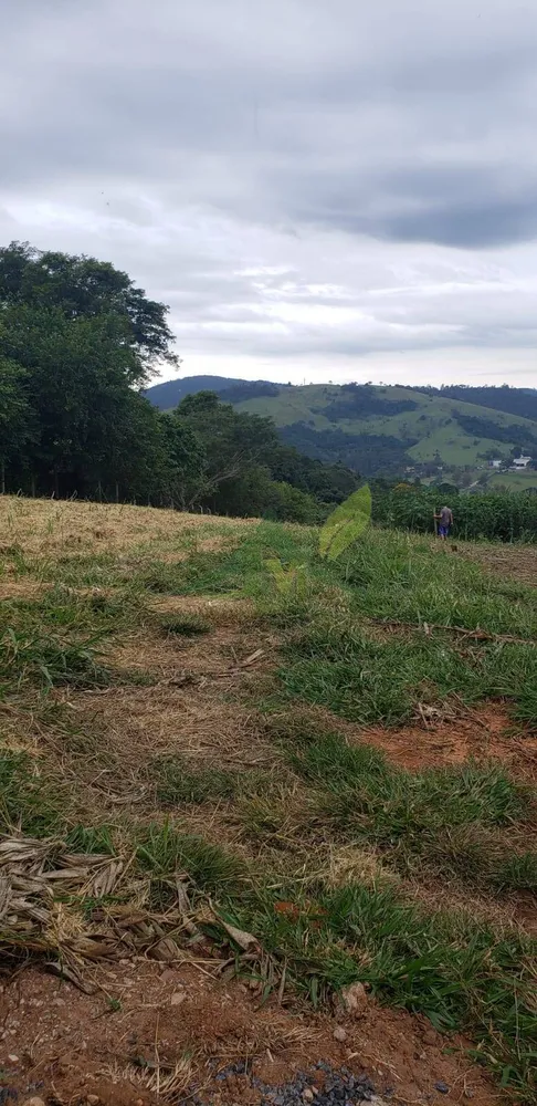 Terreno, 2000 m² - Foto 3