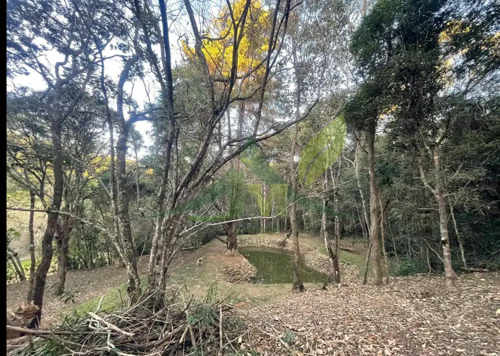 Sítio, 3 quartos, 4 hectares - Foto 15