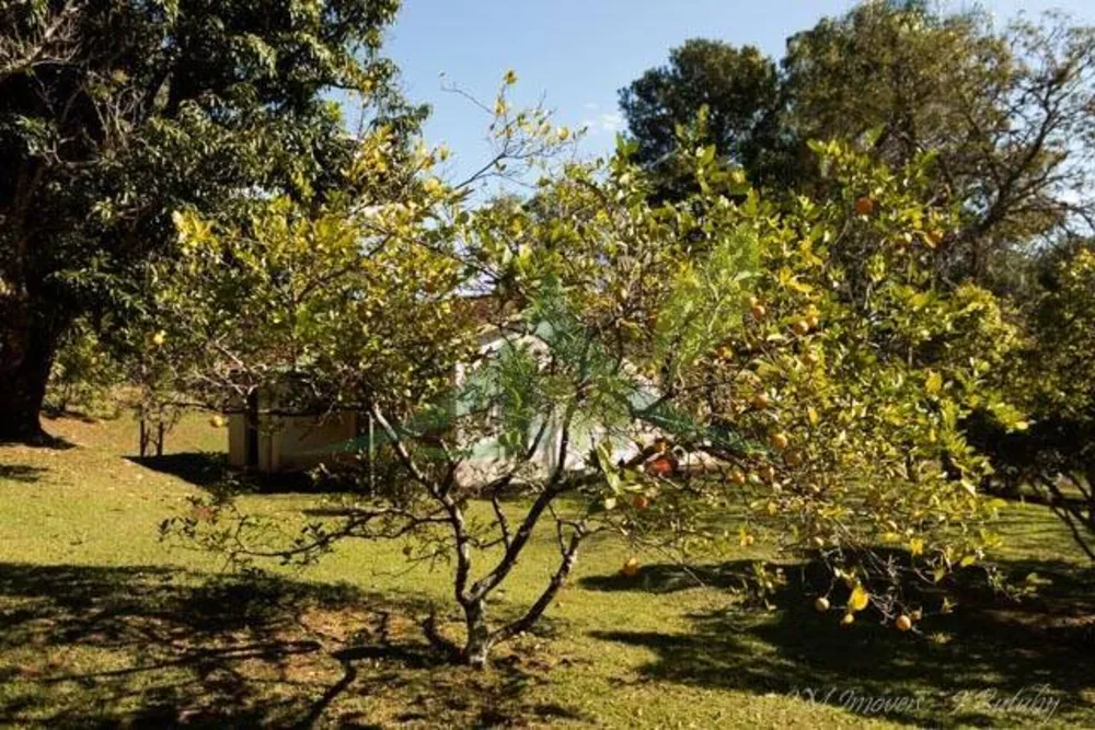 Sítio, 4 quartos, 2 hectares - Foto 6