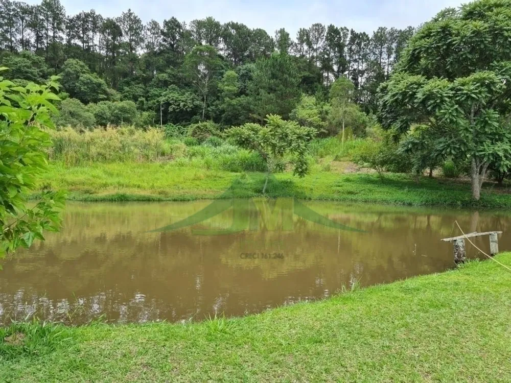 Sítio, 4 quartos, 5 hectares - Foto 3