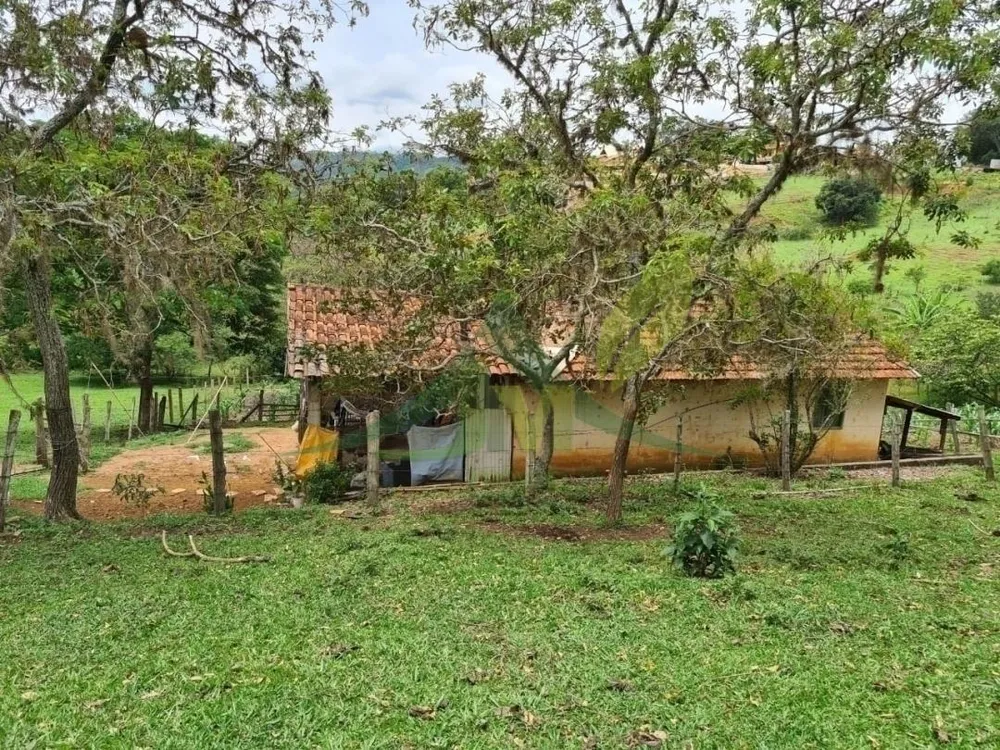 Sítio, 4 quartos, 5 hectares - Foto 4