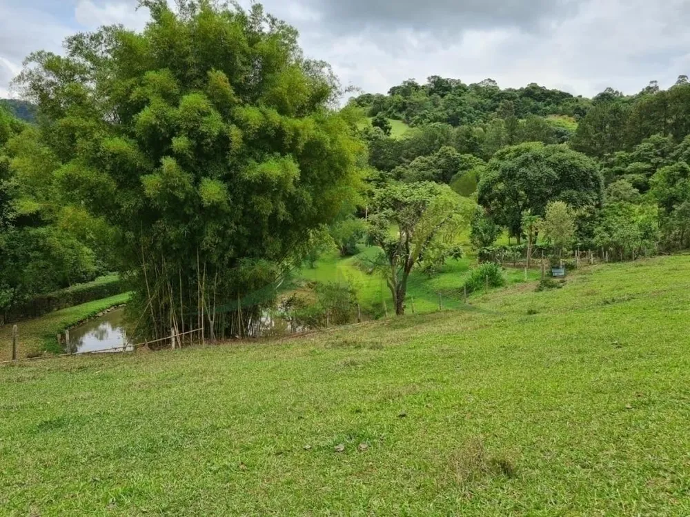 Sítio, 4 quartos, 5 hectares - Foto 1