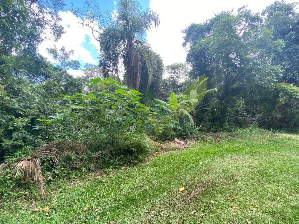 Terreno, 3119 m² - Foto 5