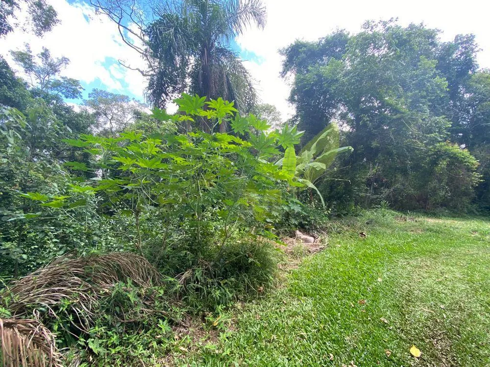 Terreno, 3119 m² - Foto 1