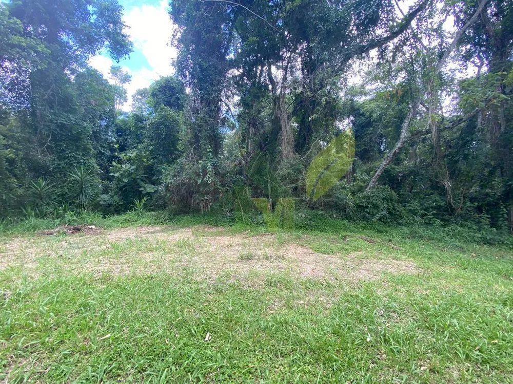 Terreno, 3119 m² - Foto 4