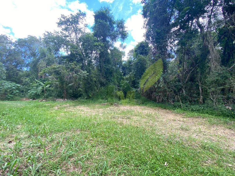 Terreno, 3119 m² - Foto 2