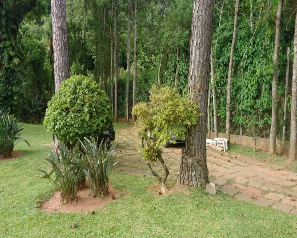 Terreno - Foto 7