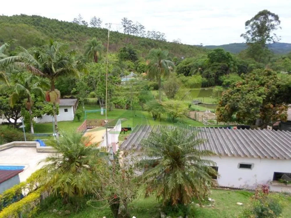 Sítio, 5 quartos, 3 hectares - Foto 4