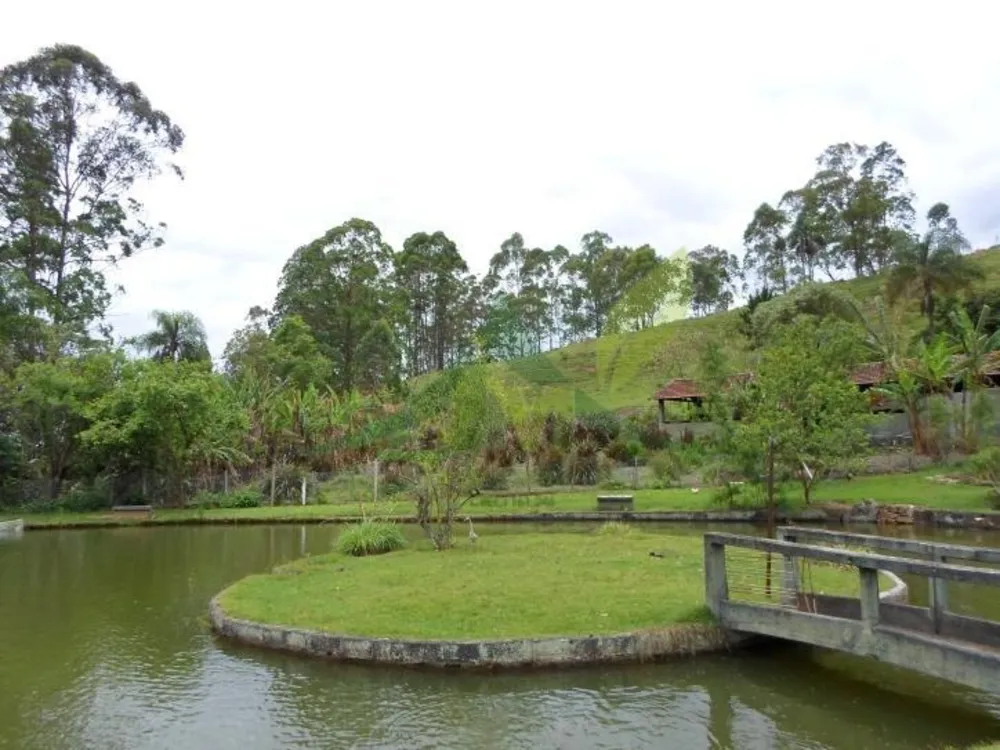 Sítio, 5 quartos, 3 hectares - Foto 7