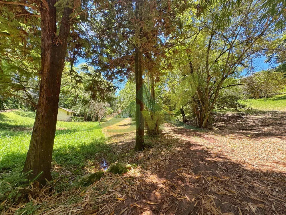 Fazenda, 44 hectares - Foto 4