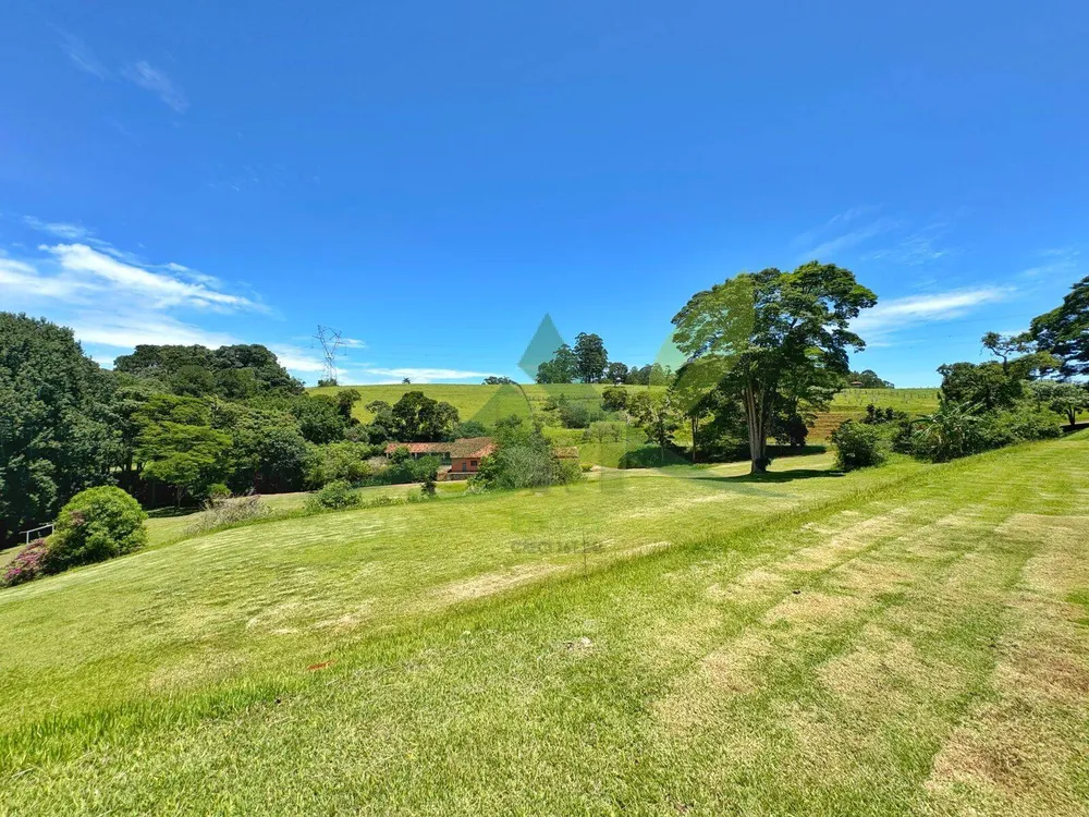 Fazenda, 44 hectares - Foto 3