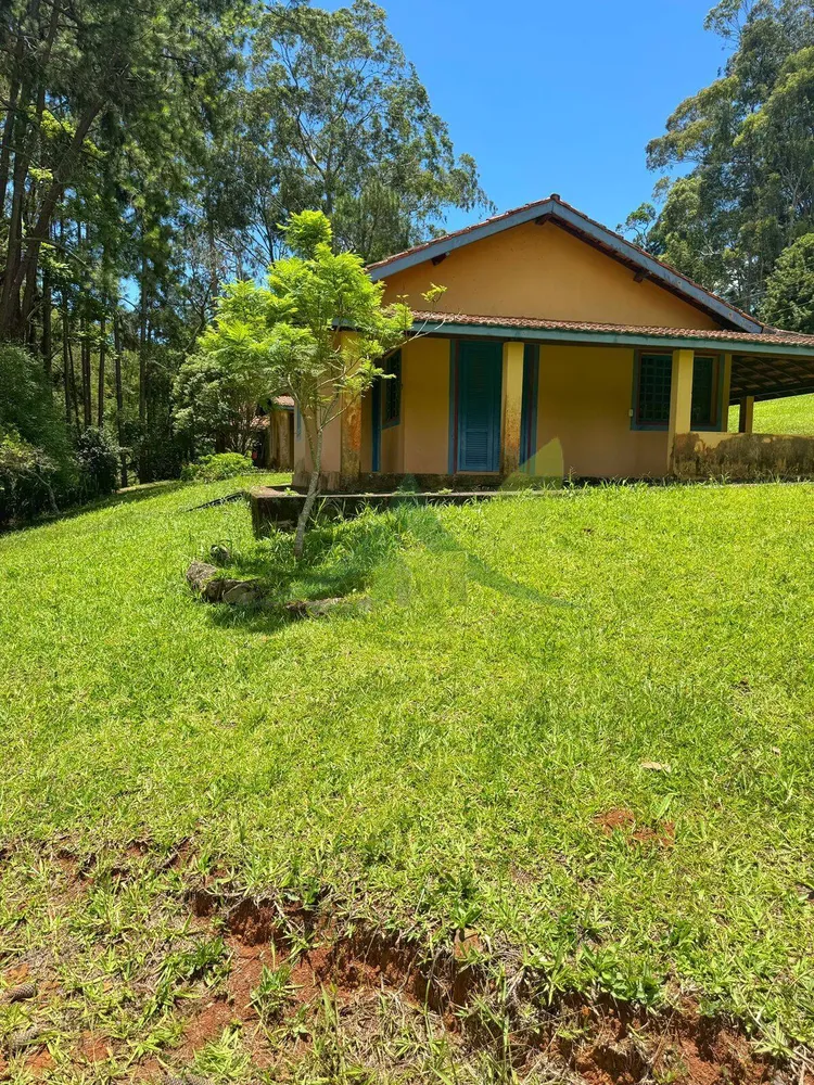 Fazenda, 44 hectares - Foto 4