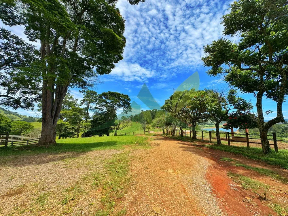 Fazenda, 44 hectares - Foto 8