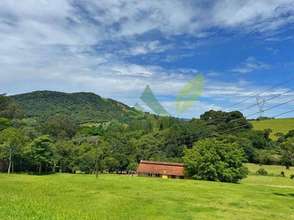 Fazenda, 44 hectares - Foto 7