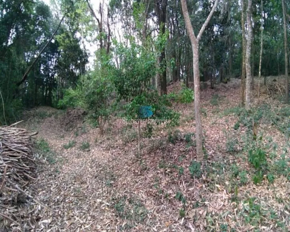 Terreno - Foto 1