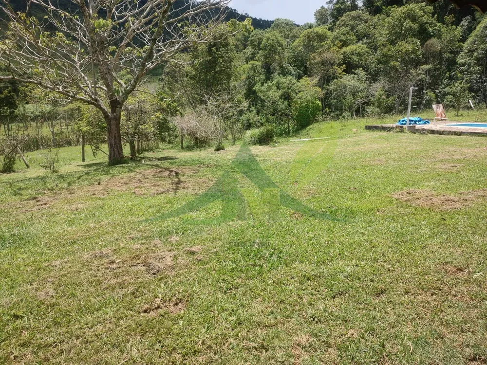 Sítio, 3 quartos, 6 hectares - Foto 3