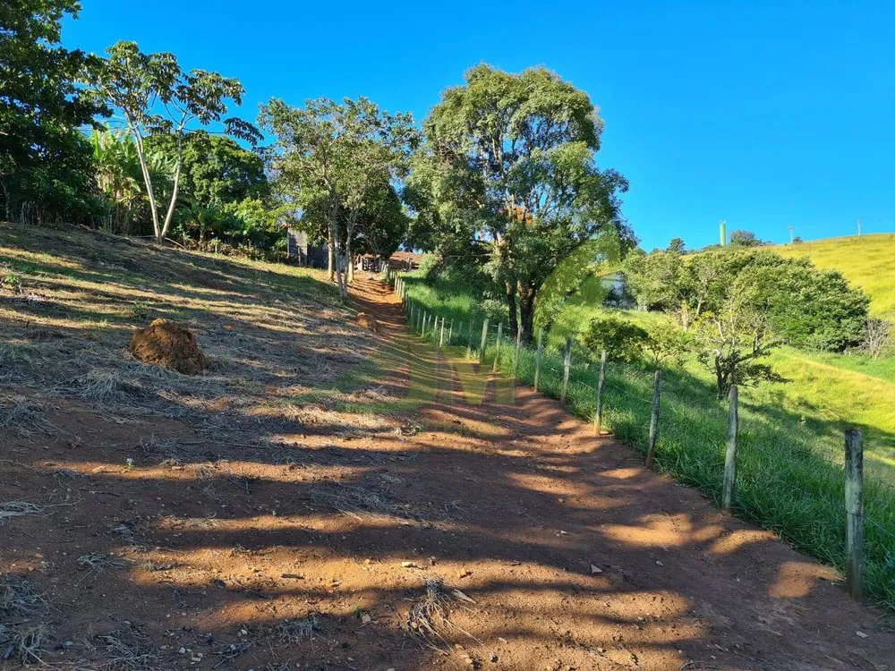 Terreno, 2 hectares - Foto 10