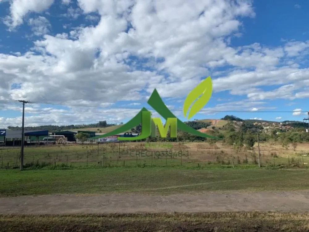Terreno, 4 hectares - Foto 4