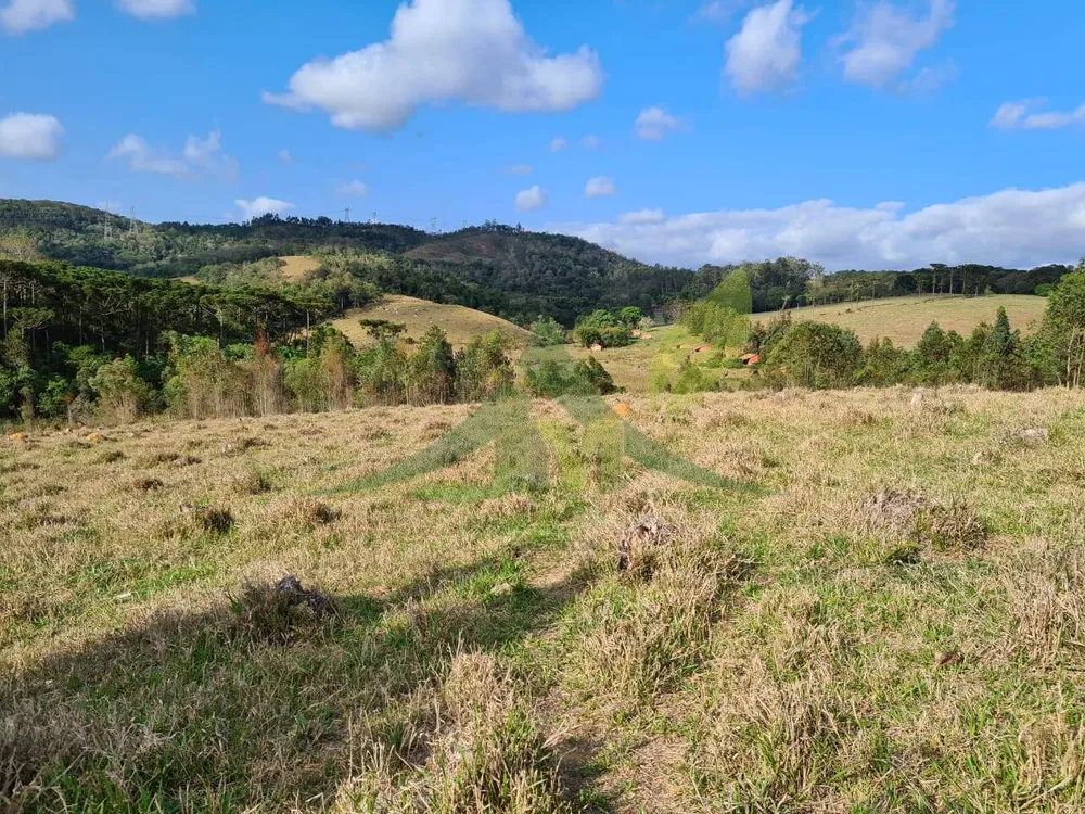 Sítio, 2 quartos, 36 hectares - Foto 12