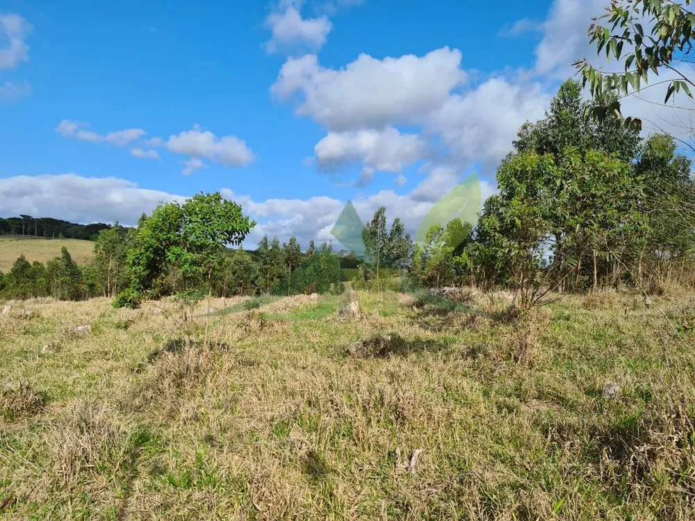 Sítio, 2 quartos, 36 hectares - Foto 4