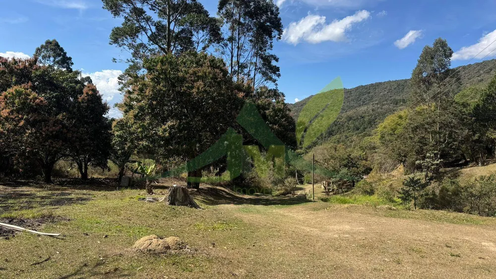 Sítio, 6 quartos, 17 hectares - Foto 6