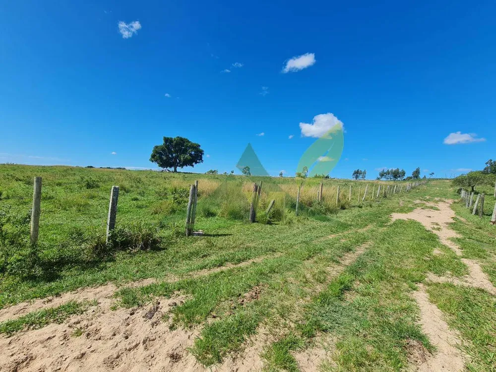 Fazenda, 126 hectares - Foto 17