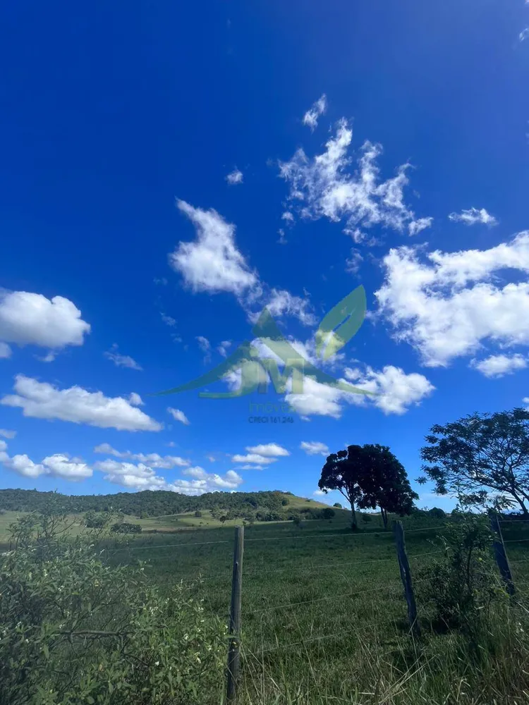 Fazenda, 126 hectares - Foto 29
