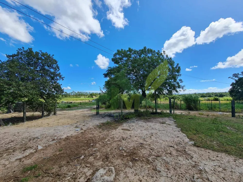 Fazenda, 126 hectares - Foto 3